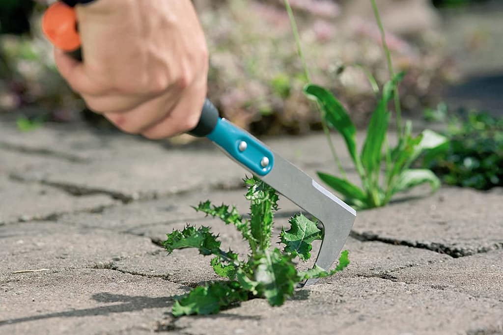 How To Get Rid Of Weeds In Driveway Paving 8 Great Tips To Use This